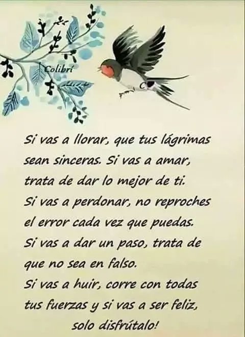Paulo Coelho Español (@paulocoelhodice) on Twitter photo 