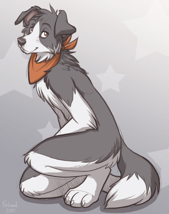 DizFoley's tweet photo. Quote RT with your first fursona and your current fursona!

Still the same dog! I don't know what y'all talking about!! 🐶🐶 

Diz 2010                              Diz 2023 https://t.co/IFKXEt0O4J