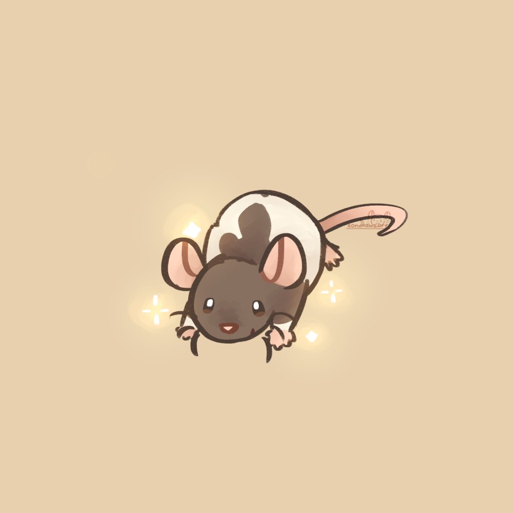 thinking about chip rat ❤️