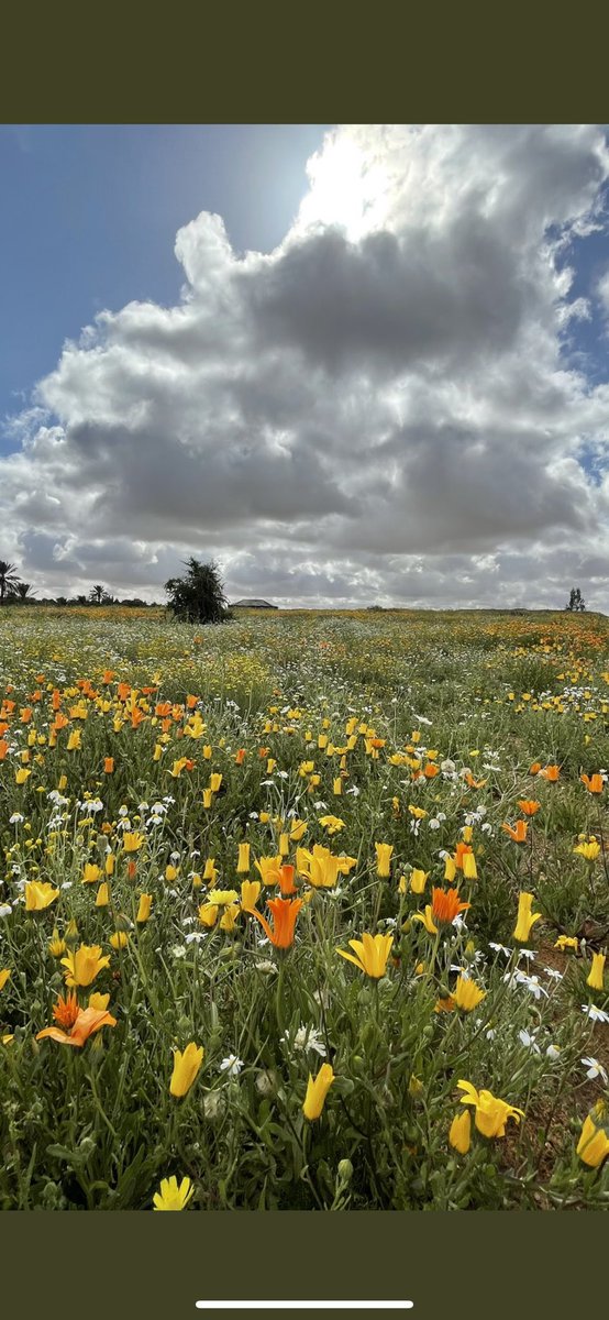 اللهم بك اصبحنا وبك امسينا وبك نحيا وبك نموت واليك النشور.