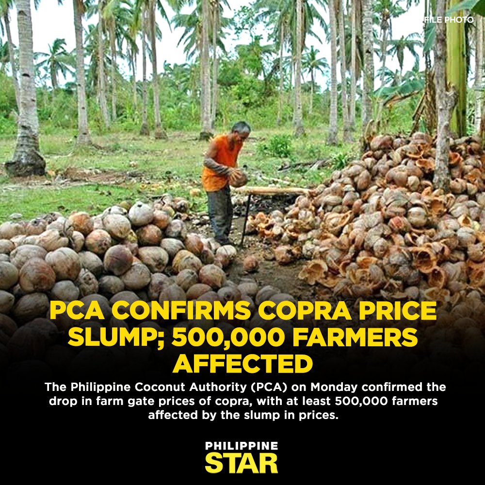 The Philippine Star on Twitter "The farm gate prices of copra ranged