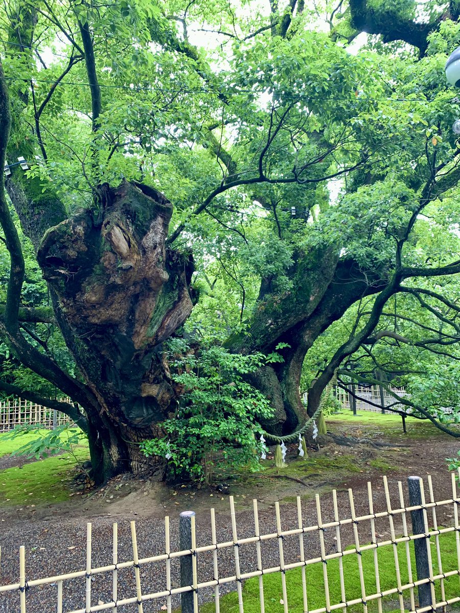 sciencekoriyama's tweet photo. 研修で浜松市へ

徳川家康公由来の
浜松八幡宮⛩️に行って来ました😊

仕事の勝運・立身出世を
お願いしてきました🙏

御祭神・御由緒｜浜松八幡宮
https://t.co/rSav9HDVus

#サイエンスホーム https://t.co/5V86hbgkSp