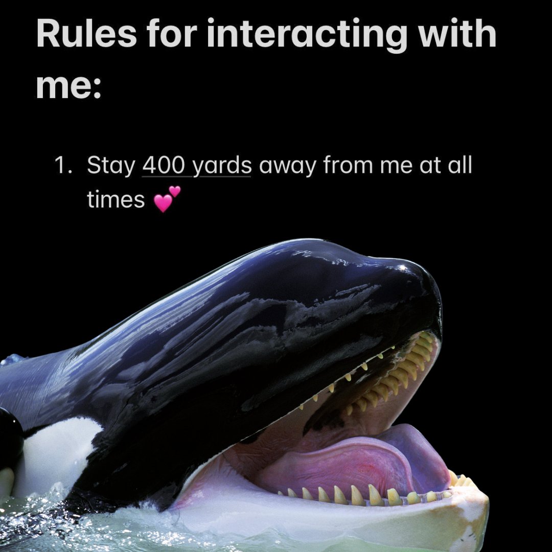 Is it really so much to ask???