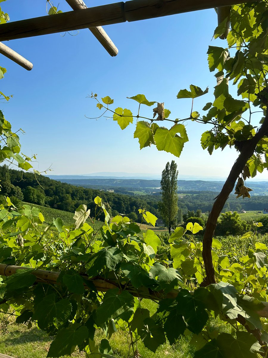 DanielaAdler4's tweet photo. Window to Slovenia 🌱
.
.
#southeaststyria 
#hiddenspot
#mondaymood https://t.co/IbCGxjhRJE