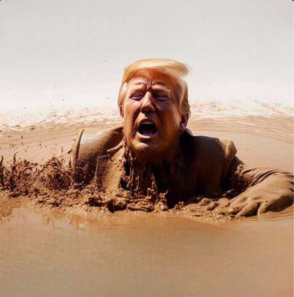 The Bitch Is Back tweet media