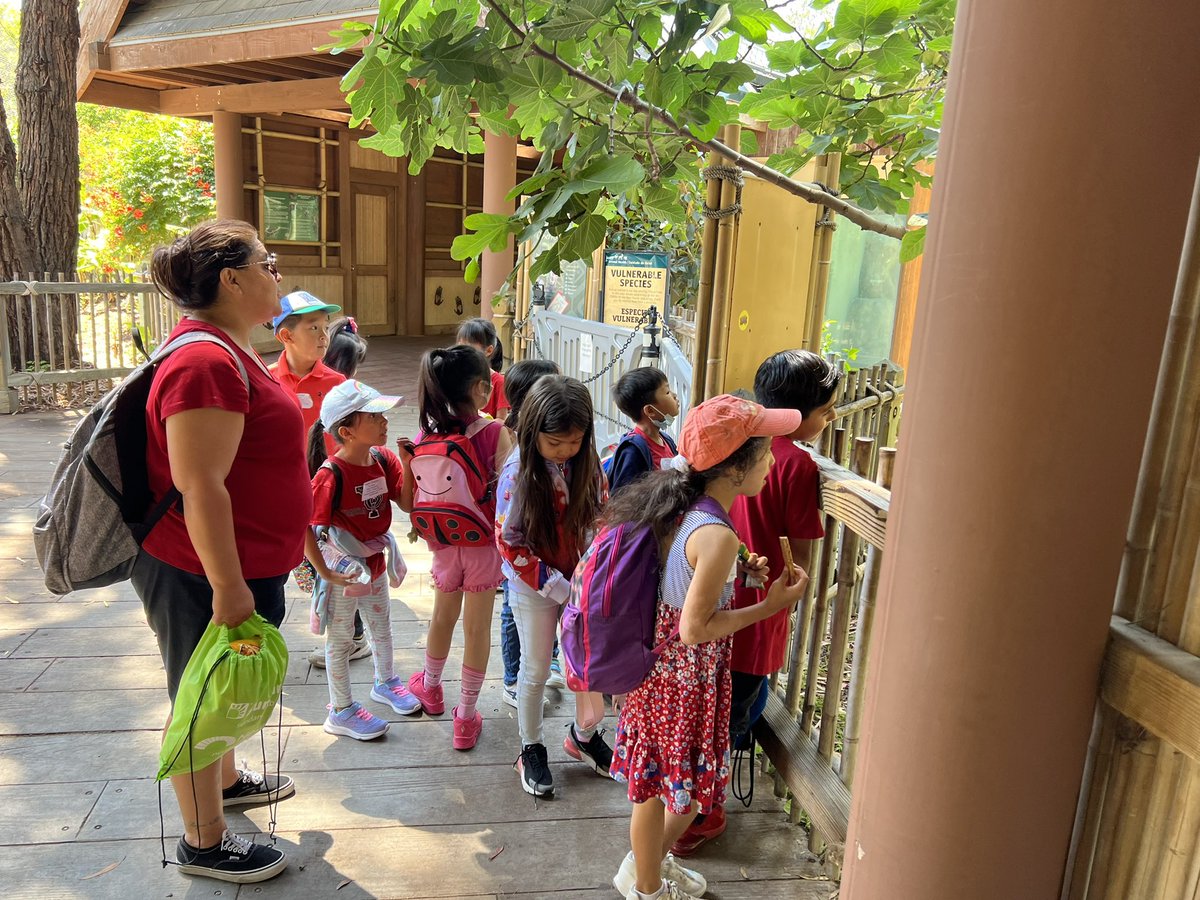 sarah smith tweet media