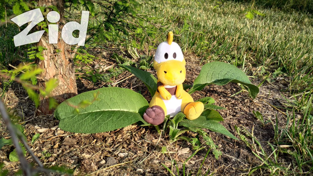 ZidAndZniw's tweet photo. Without further ado, here it is... Our collab with @LittleSofts - Zid and Zniw plushies!! 🦕

An essential item for any adventurer, these fluffy dinosaur pals are here to melt your heart!

Presale going live... THIS WEEK! ✨
Links below, RTs appreciated! 💛 https://t.co/Sv7RYXXDk9