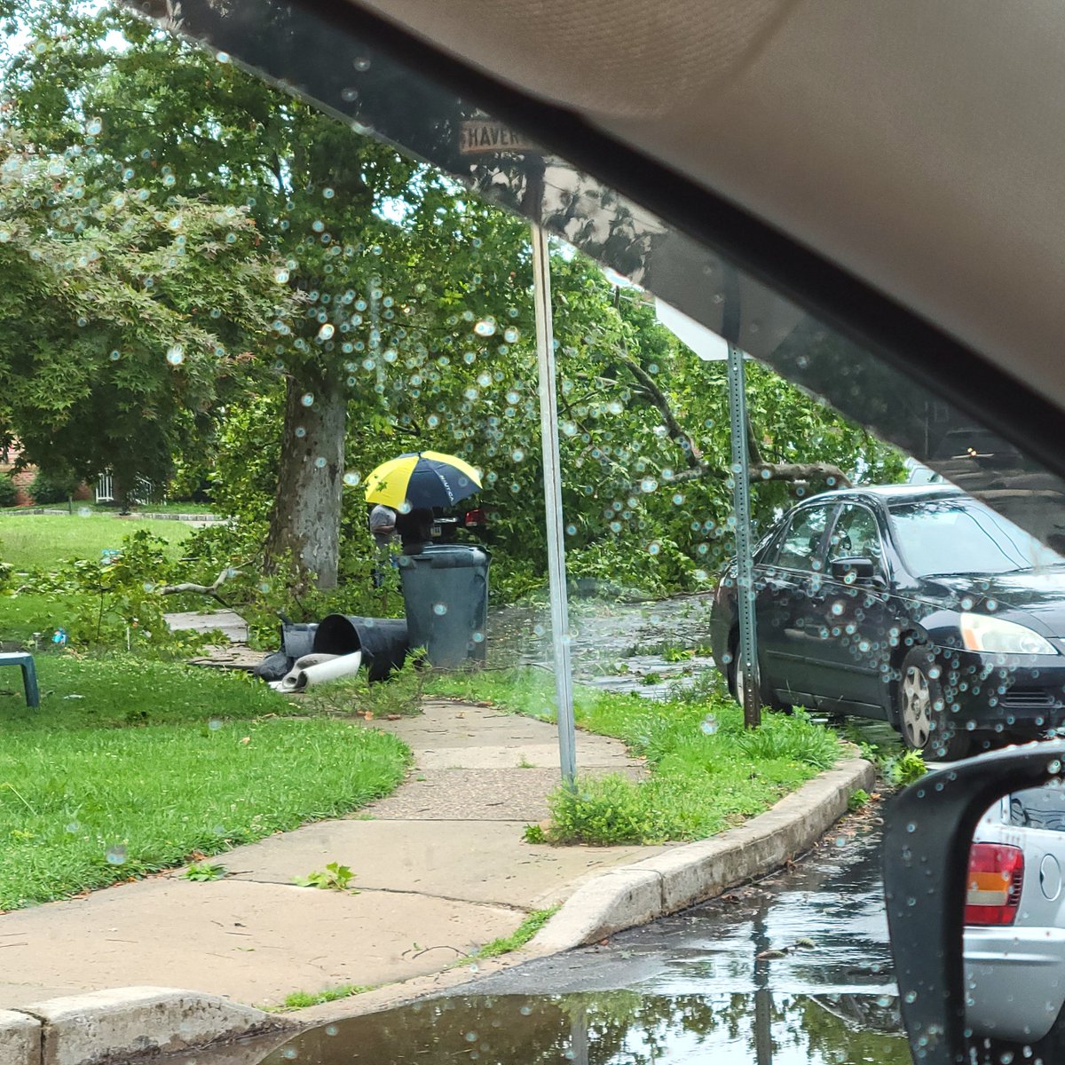 seanw65's tweet photo. @CecilyTynan Some crazy winds when that storm passed through Ridley Township a bit ago. Bunch of trees and wires down https://t.co/e1EzmqdmU3