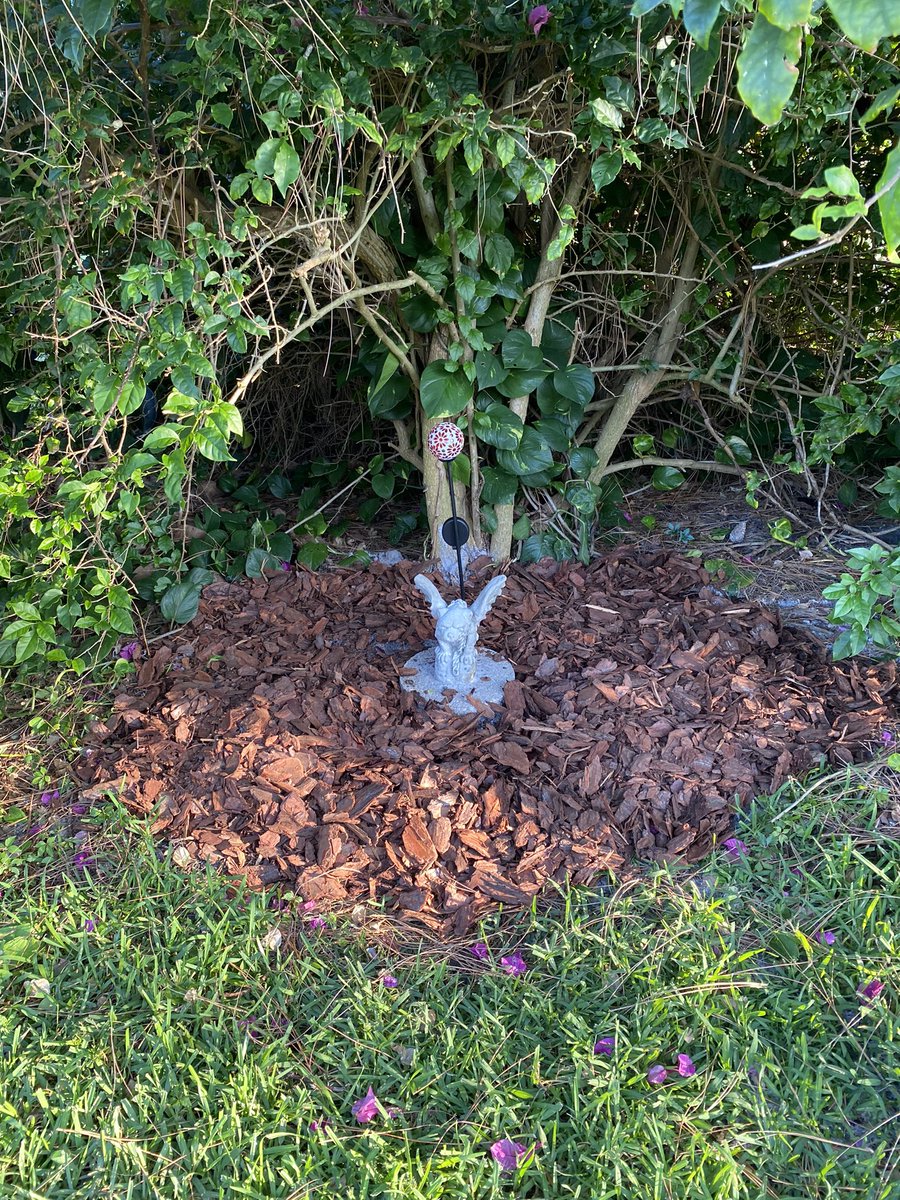 Rest in Peace Charlie