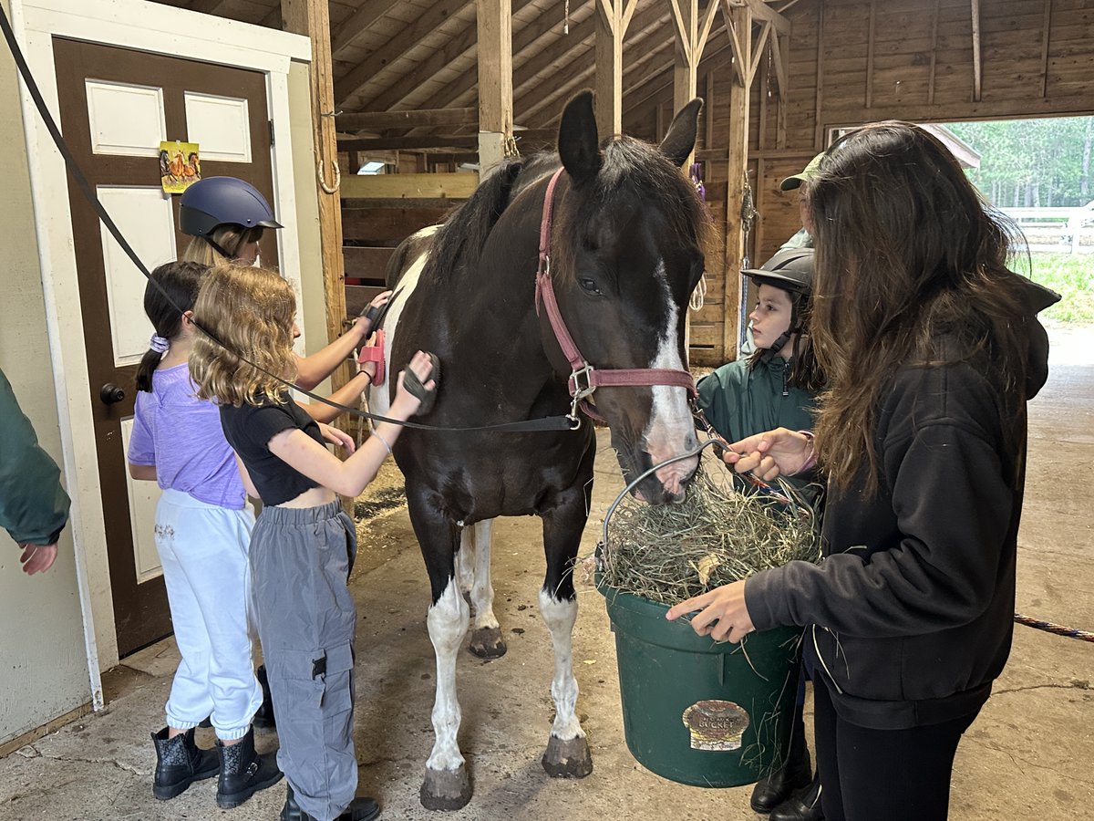CampNicolet's tweet photo. Despite cooler temps, the first day of activities is off to a great start! New boomers, paddling, crafts, grooming horses, and much more. https://t.co/bSCXQLPaFU #nicolet23 #summercamp #wisconsin #thinksunshine #horselovers #paddleon #hitit https://t.co/lLyssTm1ht
