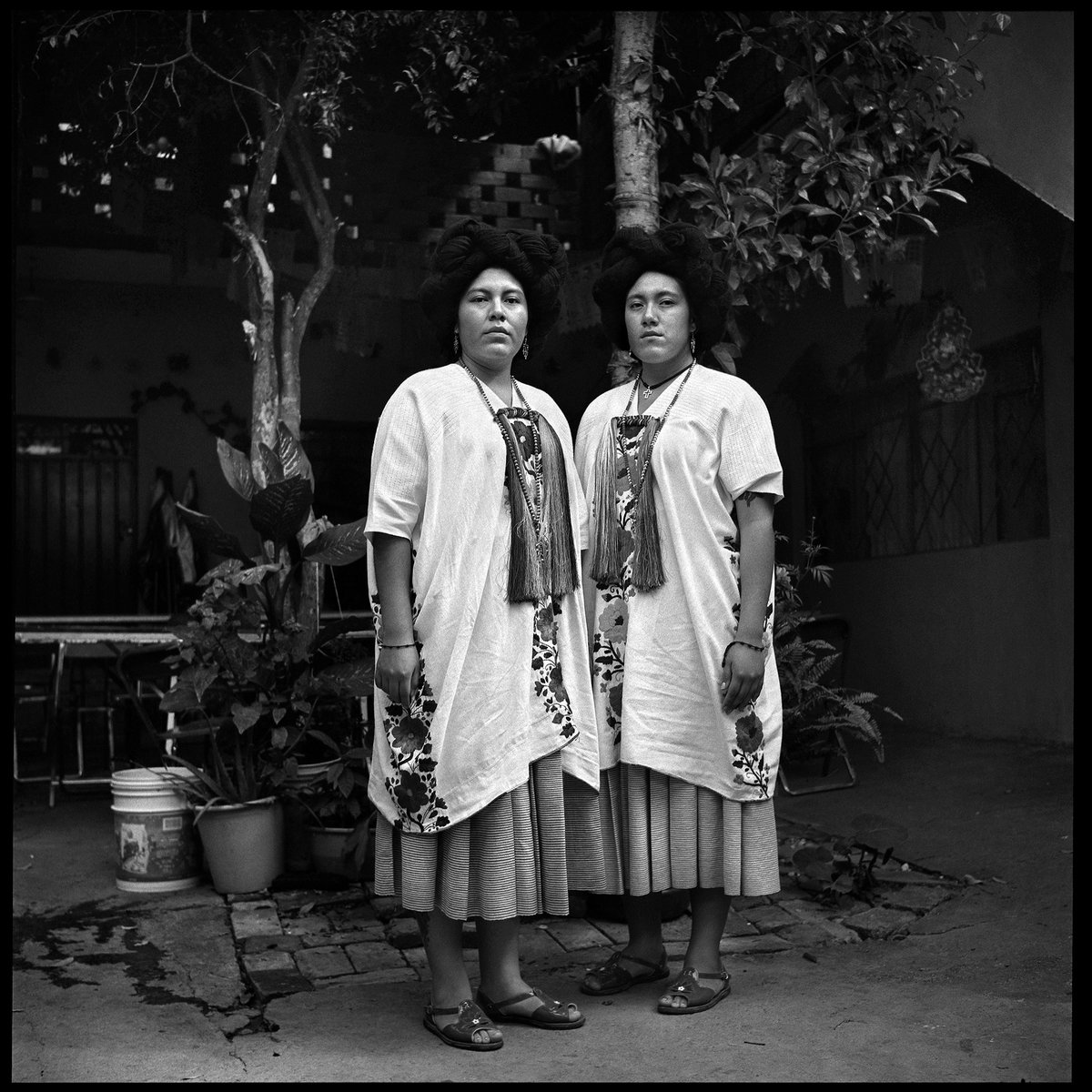 Prepárate para conocer 'What we see', un libro que presenta el trabajo de 100 mujeres y fotógrafas documentales no binarias a lo largo de 50 años de historia fotográfica. 
@womenphotograph 

📆Jueves 29 de junio, 19 h | Centro de la Imagen