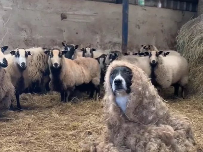 This is how it feels to be on a list w these names. Imposter syndrome is so real🥹 https://t.co/wgXpg