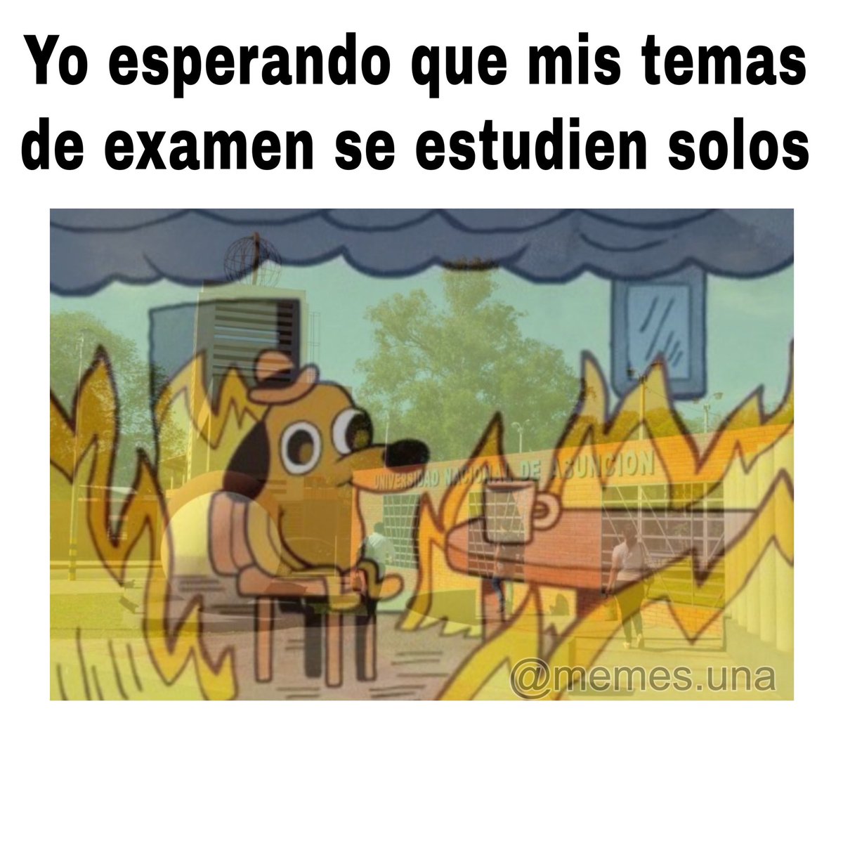 Memes UNA (@memes_una) on Twitter photo 