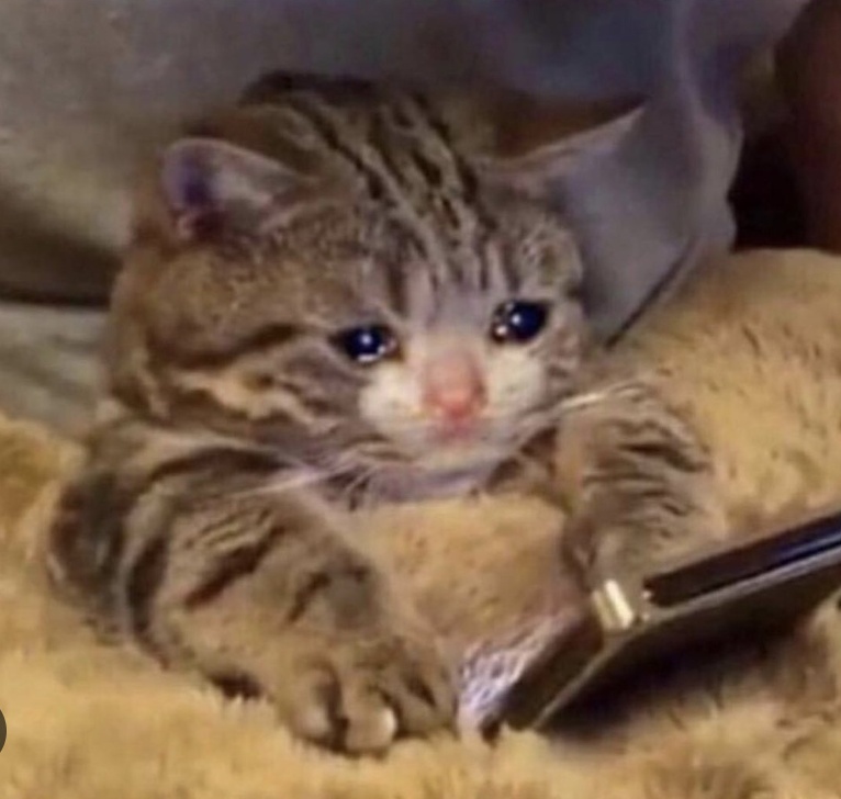 Finished a book hours ago and I wanna let the two people who like my notifications know but I can't because Goodreads is down