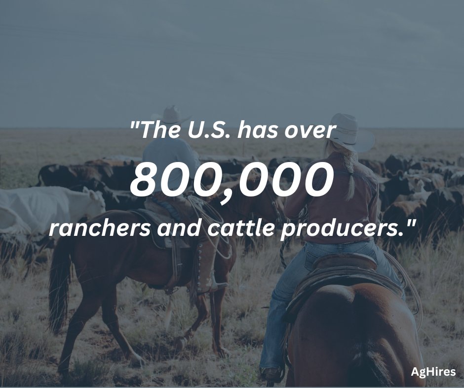 SAS_Users_USA's tweet photo. #DYK America has over 800,000 ranchers and cattle producers? ๐ฎ๐ค
#aglife #usaagriculture #farmlife #rancher #Texasagriculture #TexasFarm #TexasRanch #Agriculture #Farming #keepsafekeepfarming https://t.co/MiVTCnSBOe