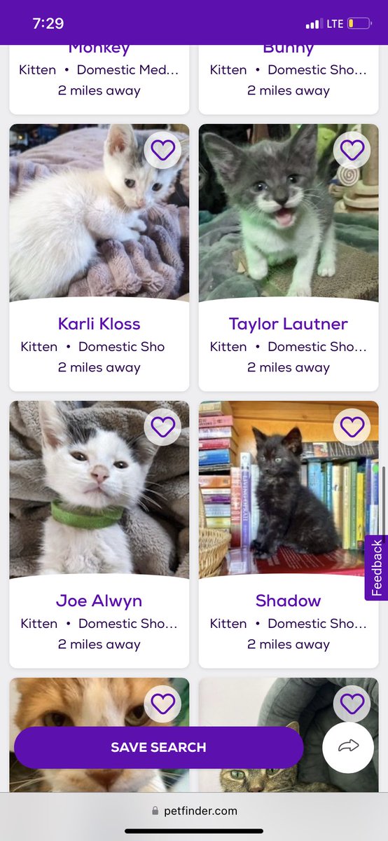 julianambee's tweet photo. not someone naming kittens after Taylor Swifts exs 💀💀💀 https://t.co/M0WOG7ebOH