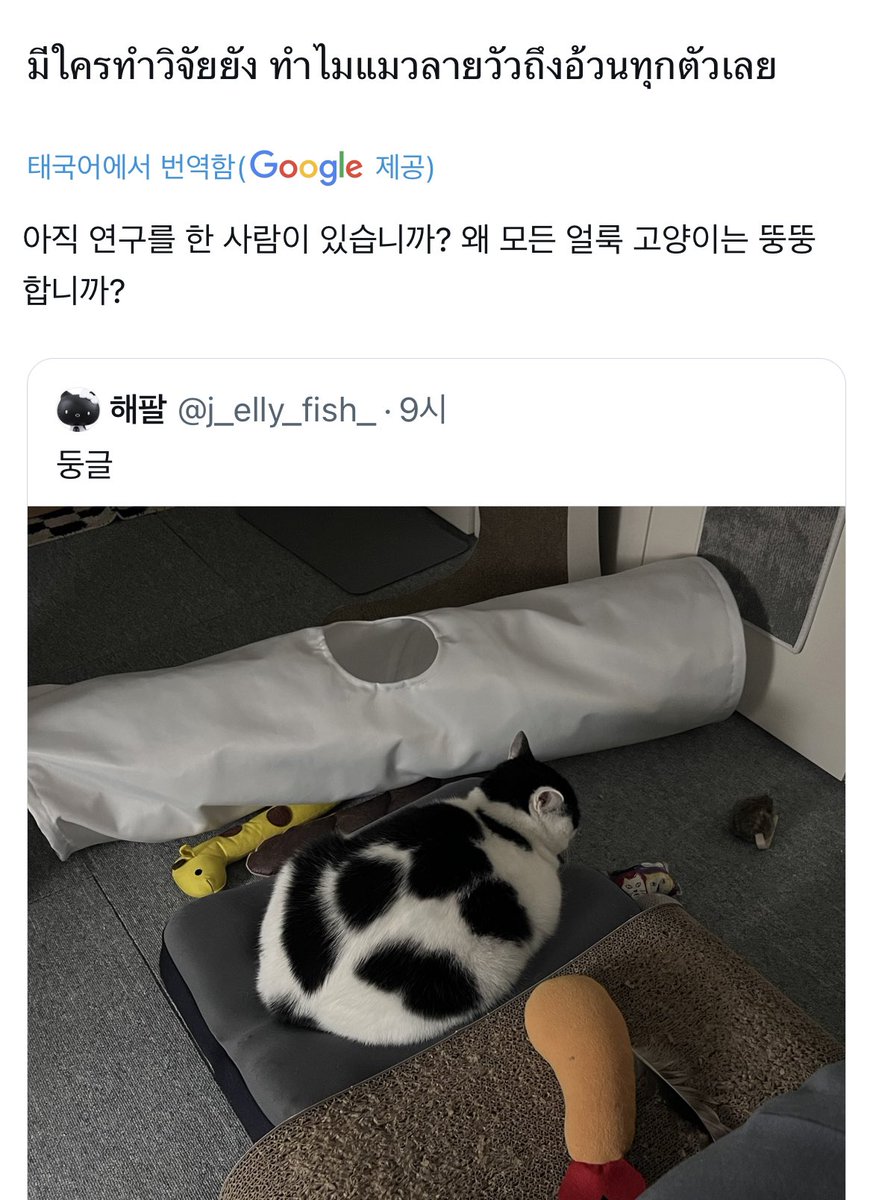 _Lagoon_Jelly_'s tweet photo. 🥲 https://t.co/BFtfd9mCo7
