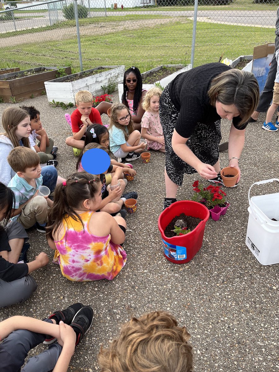 Beauty Creators Kinder buddies and grade 4s planting pots of petunias! ⁦@ChristianFMPSD⁩ ⁦@FMPSD⁩