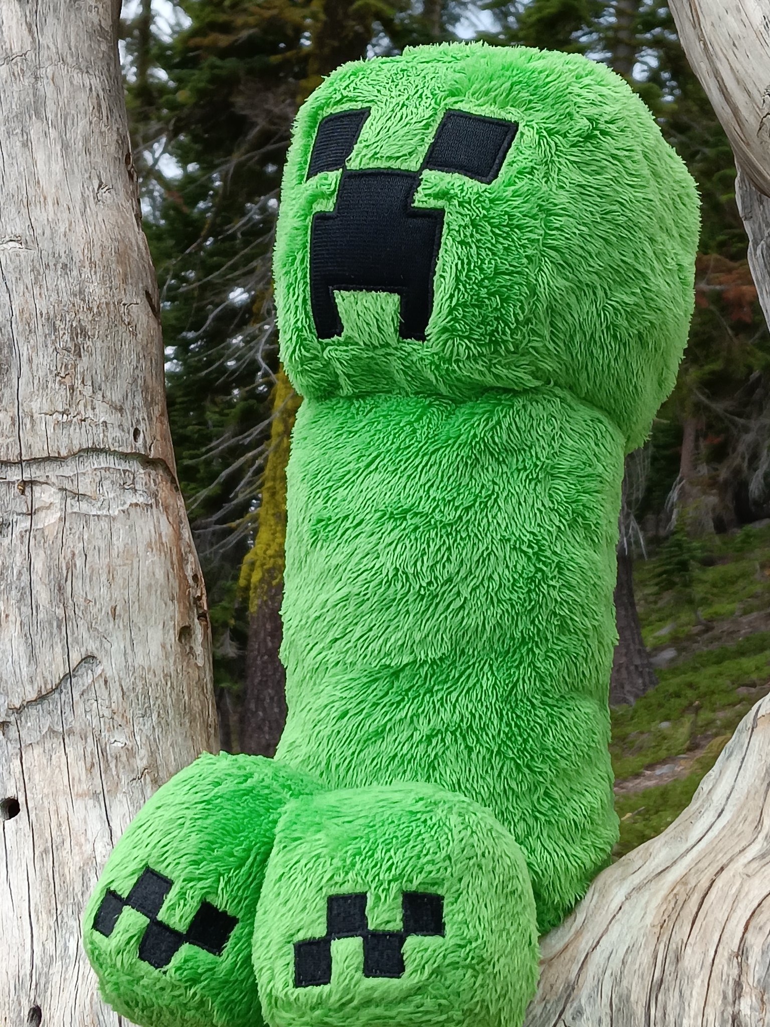ELUSIVE- on X: Real life Creeper out in the woods 😱   / X
