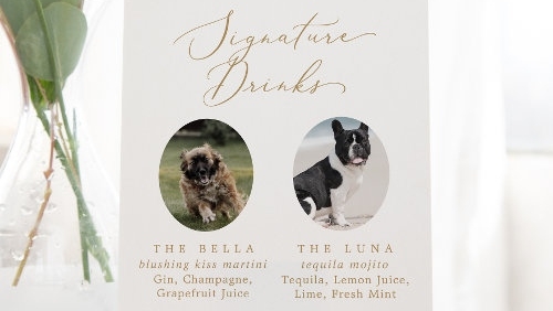 🐾 Celebrate with your furry friend! Display this Delicate Gold Wedding Dog Photo Signature Drinks Pedestal Sign from Zazzle. Let your pup be part of the fun and make signature drinks even more special! 🥂🐶 #weddingdecor #weddinginspo zazzle.com/delicate_gold_…