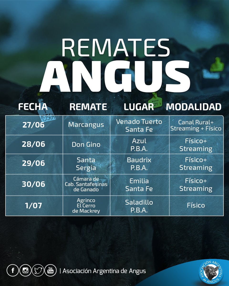 Angus Argentina tweet media