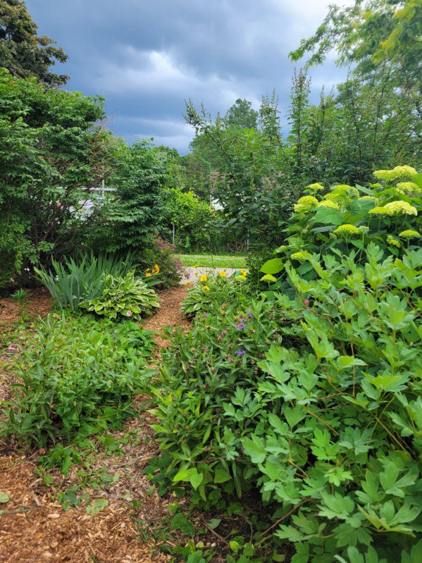 So thankful to our staff Ms Turner, Ms Carli, and Ms Holden for all of their hard work to create an amazing outdoor space for our students and the butterflies! #proud #teamwork <a href="/EcoSchoolsCAN/">EcoSchools Canada</a> <a href="/LimestoneDSB/">Limestone District School Board</a>