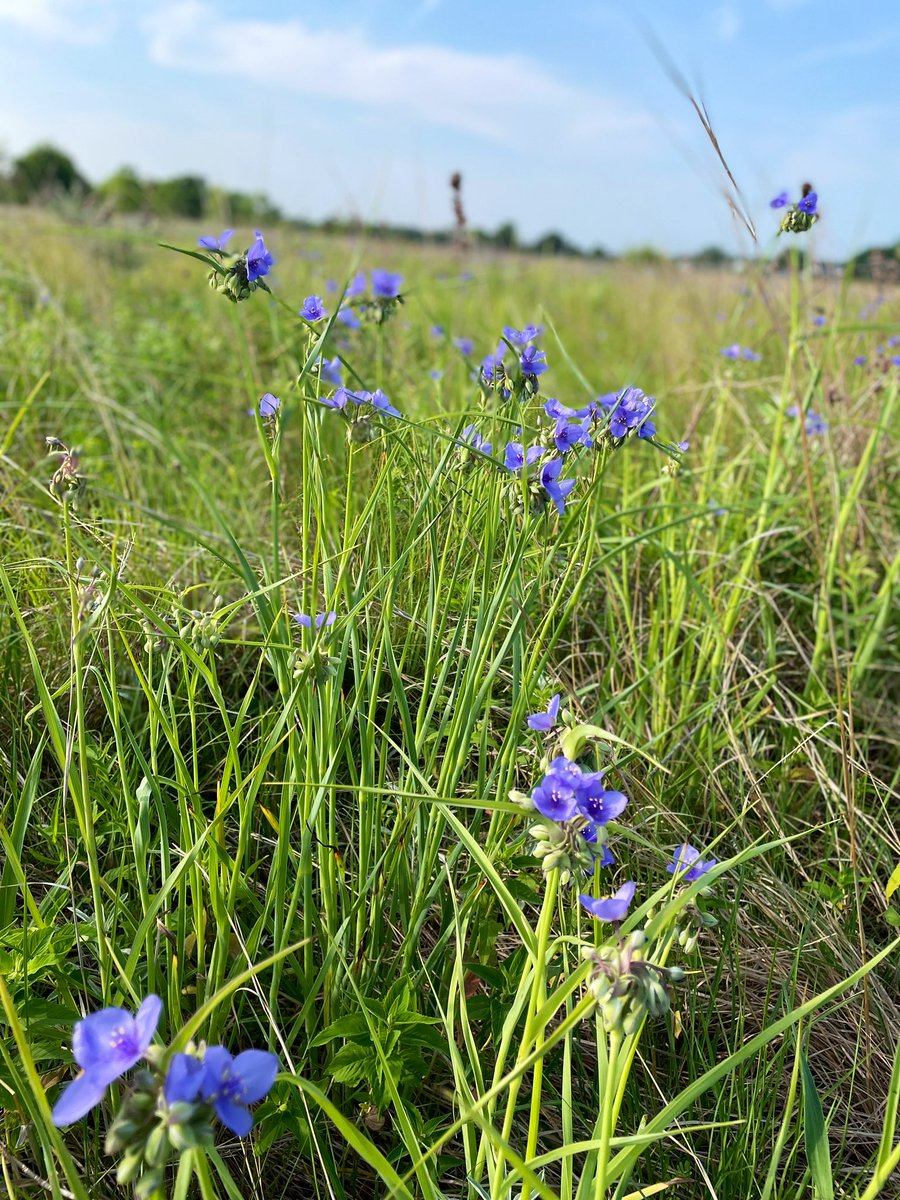Jonathan Hicks, PhD (he/ him) tweet media