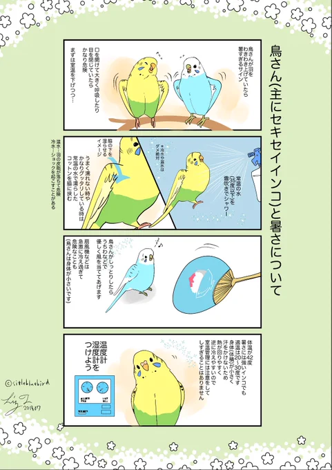 【飼い鳥さんの熱中症対策】 今年もこれを貼る季節です☀️ 人に慣れた鳥さんを想定して書かれています。  鳥かごには温度計湿度計🌡️ 🌡️ を。  夏はこれからです☀️🍉🌻 まだ涼しいからと油断せず、未然の事故を防ぎましょう🦜