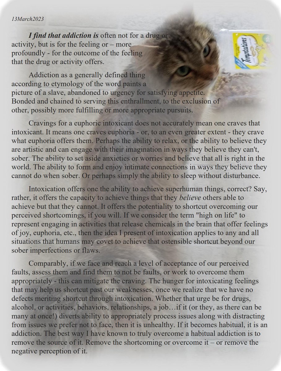 Loposophy (@loposophy) on Twitter photo 