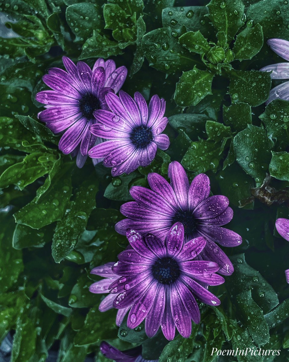 Kelly Nicol💙💛🇺🇦 tweet media