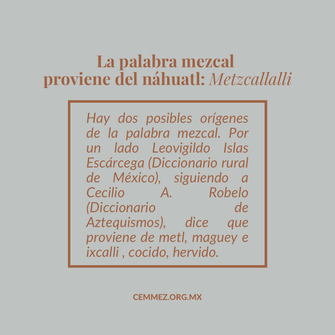 Cemmez_'s tweet photo. La palabra mezcal proviene del náhuatl: 
Metzcallalli. 

#mezcal #maguey #agave #culturadelmezcal #destiladosmexicanos #cemmez https://t.co/UPh2WjYA3o