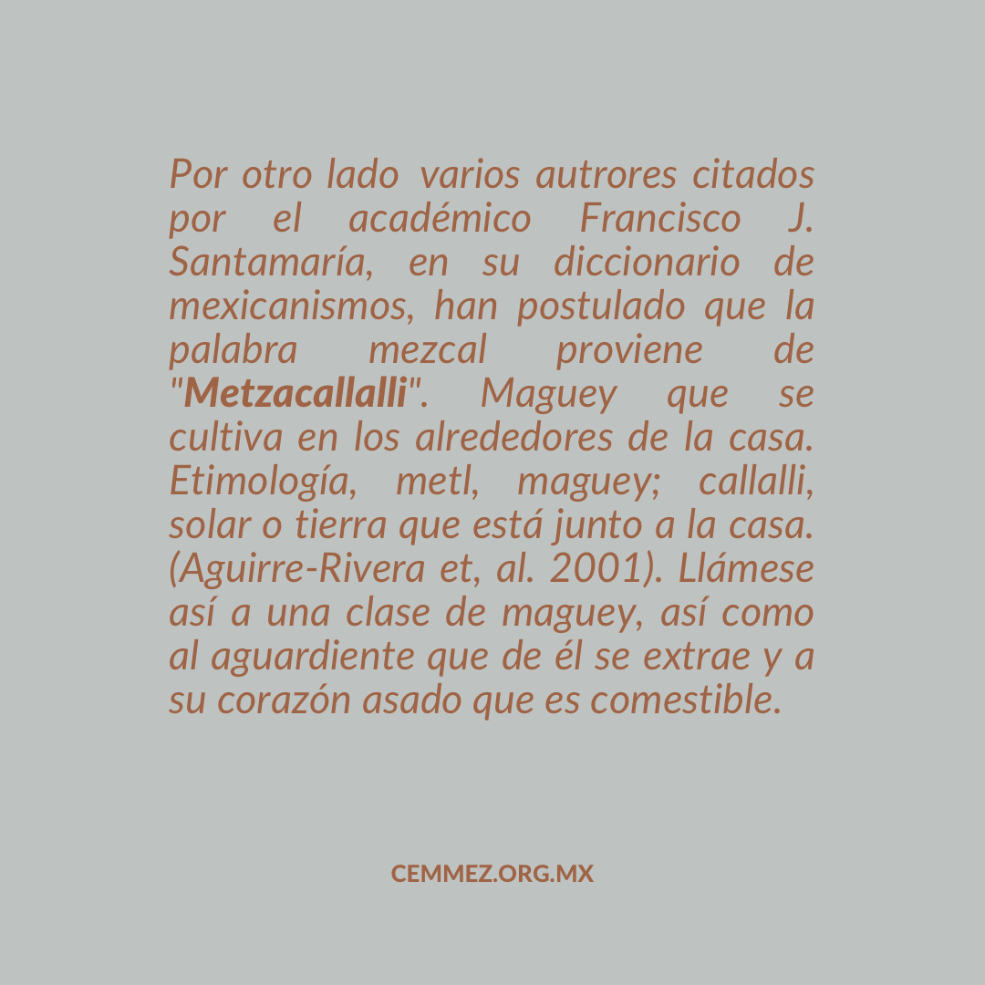 Cemmez_'s tweet photo. La palabra mezcal proviene del náhuatl: 
Metzcallalli. 

#mezcal #maguey #agave #culturadelmezcal #destiladosmexicanos #cemmez https://t.co/UPh2WjYA3o