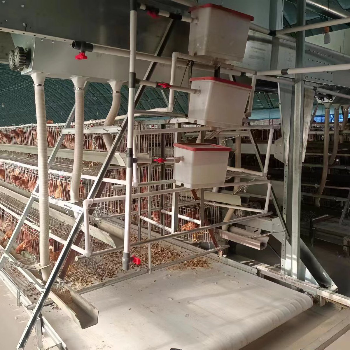 AbortTya34721's tweet image. We focus on providing chicken cages   poultry  equipment  in order to achieve our goal of providing our own strength for the health of the people.  
#chickencage #layercage #layerchickencage #batterycage #chickencagenigeria #layercageaccra #layercage
Whatsapp +8613073170058
