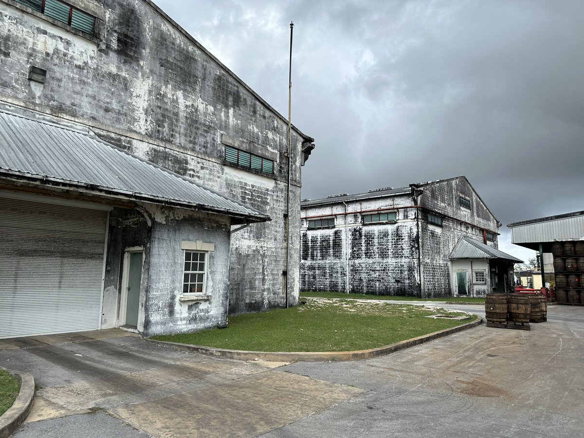 RumReviews's tweet image. Fantastic day on #barbados today touring and sampling our way through the @mountgayrum #distillery 🇧🇧🥃

#rum #mountgayrumtour #barbadosrum