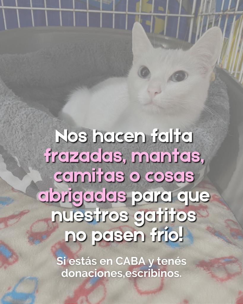 Floresta, La Paternal, Monte Castro, Nuñez, Palermo, Parque Patricios, Saavedra, Versailles, Villa Crespo, Villa del Parque, Villa Devoto, Villa Luro, Villa Santa Rita, Villa Urquiza
📍  Zona sur:
Banfield, Lomas de Zamora. (+)
