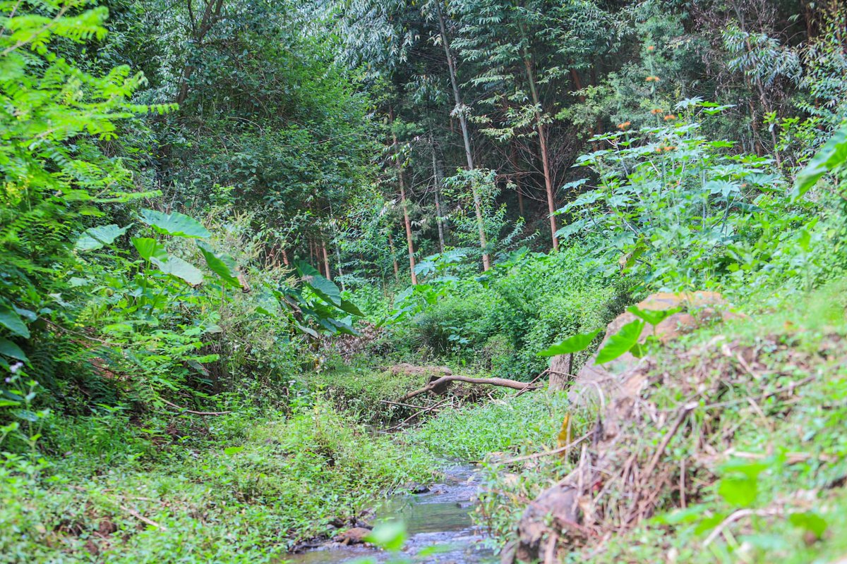 Baringo County Government tweet media