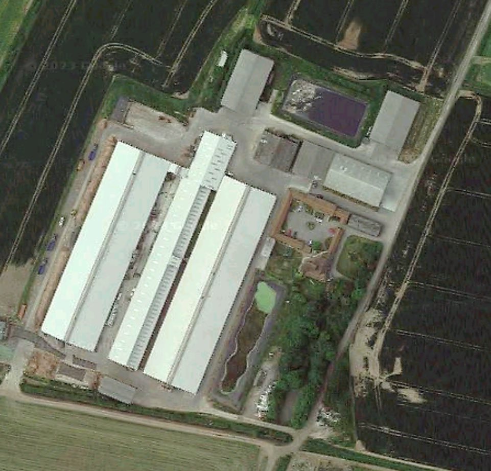 Oliver Hall tweet media