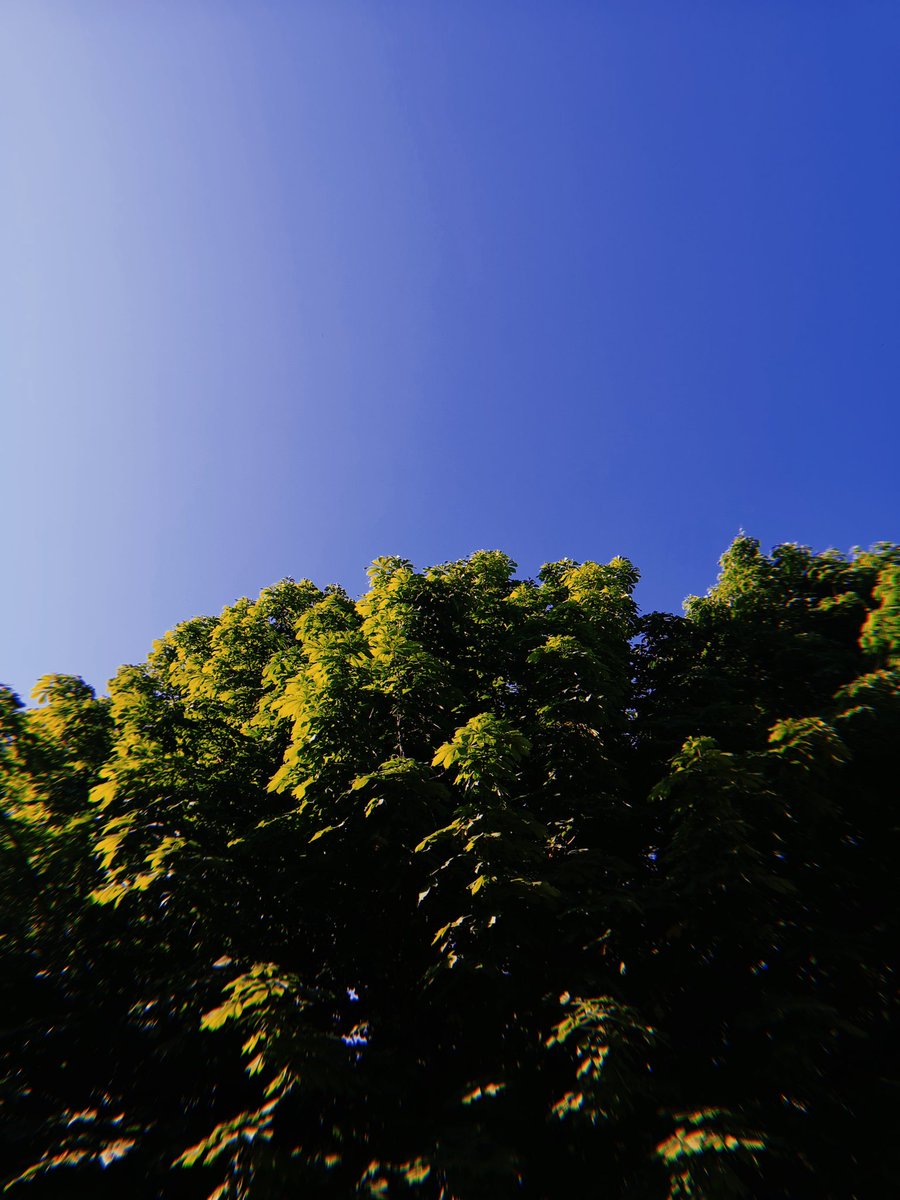 StudioRu1's tweet image. #goodmorning 🌞