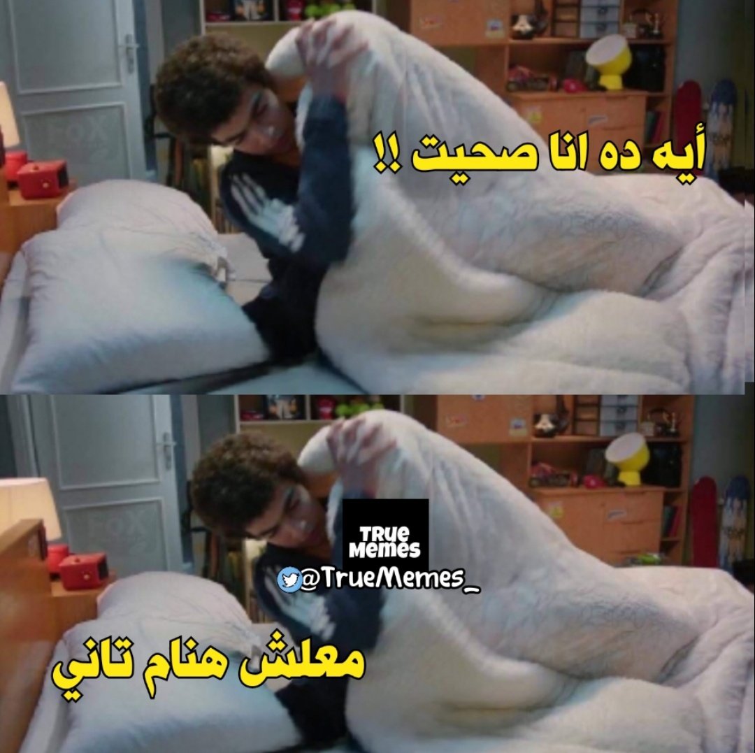 True Memes (@truememes_) on Twitter photo 