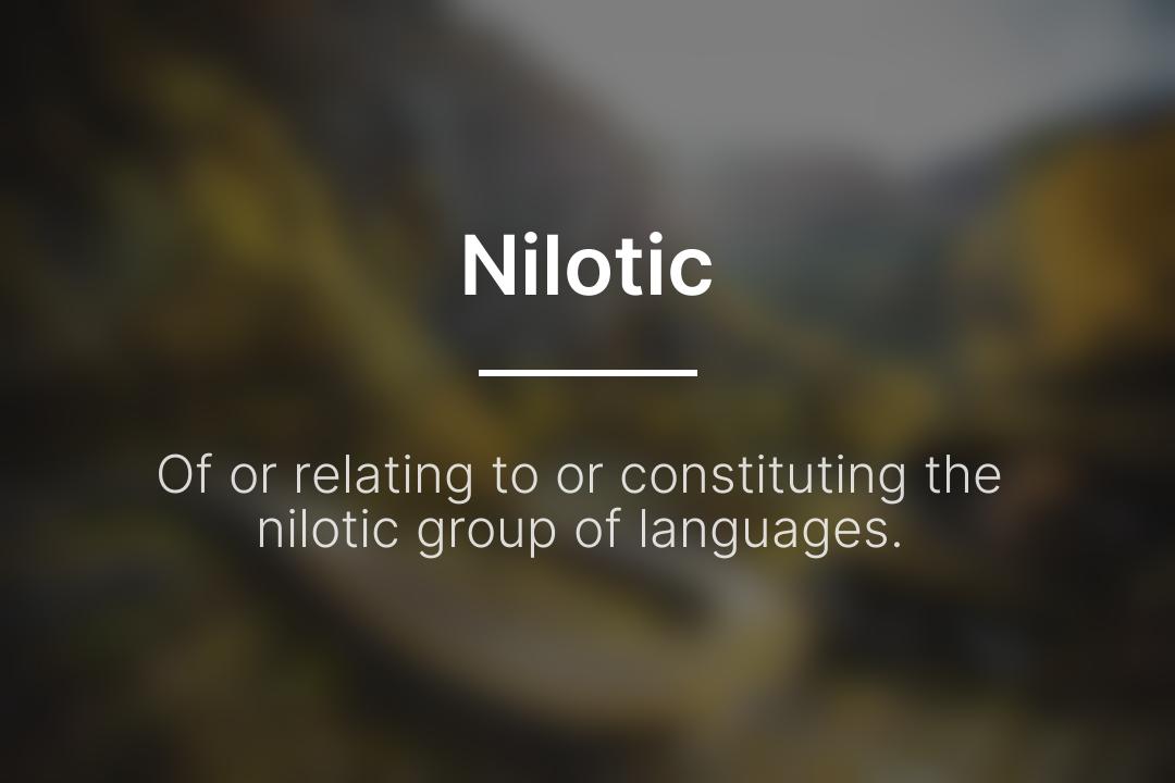 DailyDefPost's tweet image. Nilotic: Of or relating to or constituting the nilotic group of languages.

#Nilotic #WordOfTheDay #DailyDefinition