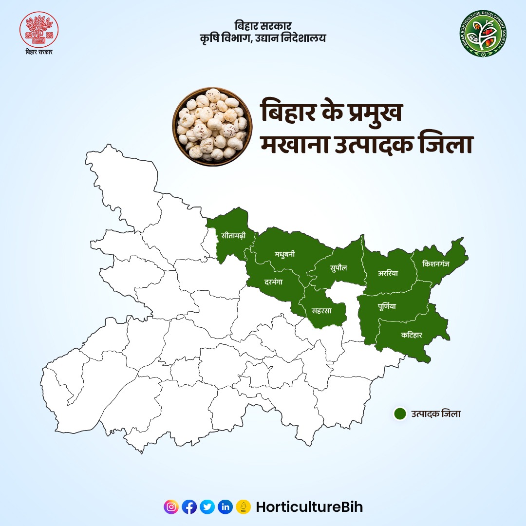 प्रमुख मखाना उत्पादक जिले |
@KumarSarvjeet6
@SAgarwal_IAS
@dralokghosh
@Agribih
@AgriGoI
@abhitwittt
@IPRD_Bihar
#Bihar #bihar #makhana #agriculture #horticulture