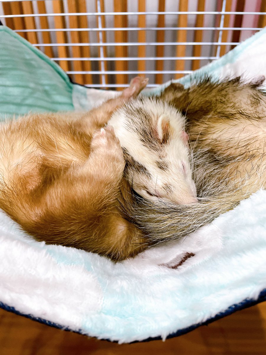 福田ゆい Fukuta Yui on Twitter