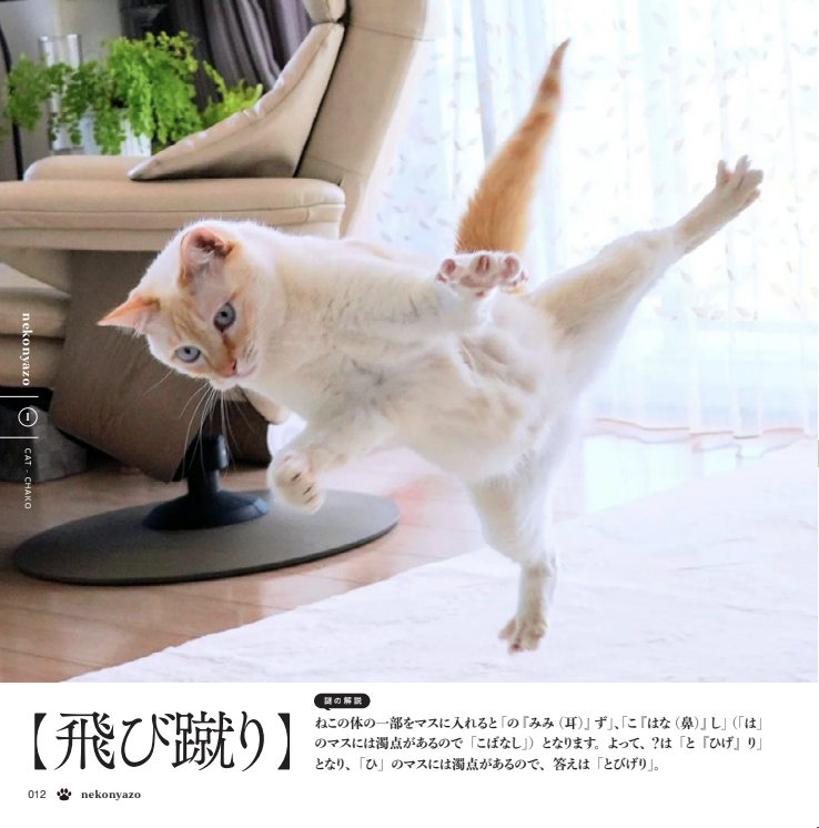 ／
#ねこにゃぞ
#はじめての謎解きナビ
＼

よくある質問👀

Q：どんな謎が収録されてるの？
A：全31問のねこ😸をモチーフにした謎と、その答えにちなんだかわいいねこ写真があなたを待っています📷

▼もっと詳しく知りたい方はこちら▼
scrapshuppan.com/books/neko/?ut…