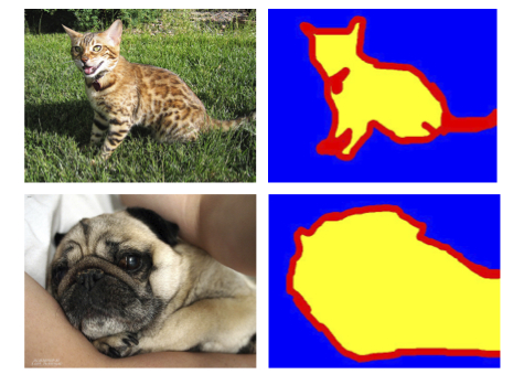 DrMattCrowson's tweet image. RT Efficient Image Segmentation Using PyTorch: Part 1 #imagesegmentation #deeplearning #pytorch #handsontutorials  dlvr.it/SrHfSw