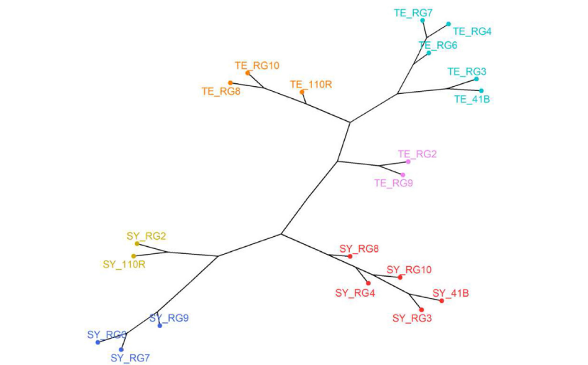 Viticultura UPNA tweet media