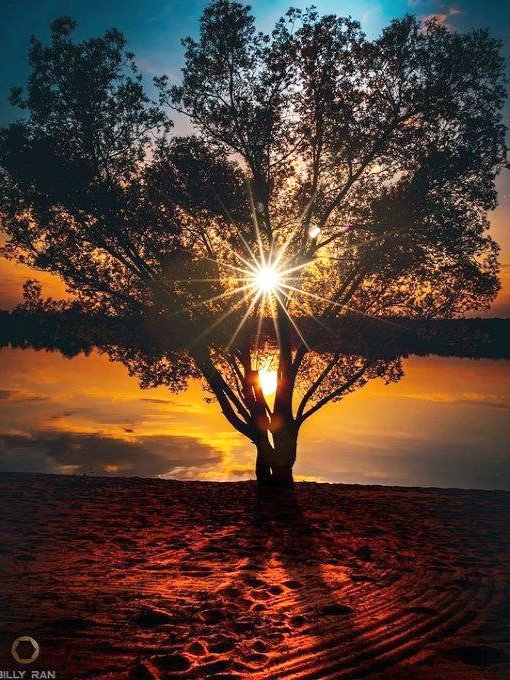 IC316's tweet photo. "Give without remembering and receive without forgetting."

Wishing everyone a peaceful and happy day! 🧡 https://t.co/OkzXxx4DU5