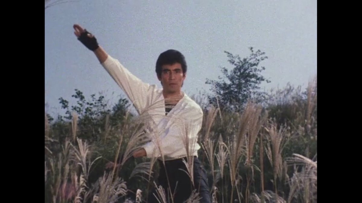 Fun fact: Ryo Murasame/Kamen Rider ZX only has 4 on-screen