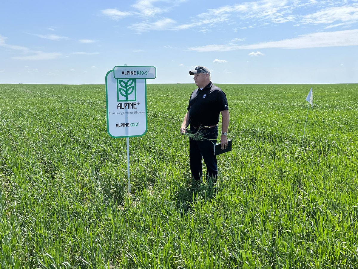 ZacharyMcLane2's tweet photo. Great day to go tour the plots at Eston. @EmergeAg @DawsonTangen @AlpineJimmie https://t.co/F9id7vUJOl