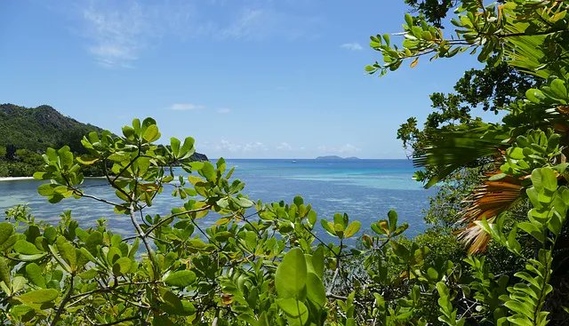Ministerio del Ambiente y Cámara Nacional de Acuacultura impulsan la gestión sostenible de los manglares agendacircular.medios.digital/contenido/158/… 
#kunmingmontreal #manglares