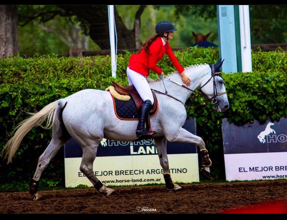 ANISABEL tweet media